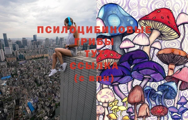 дживик Нефтегорск