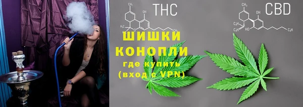дживик Нефтегорск